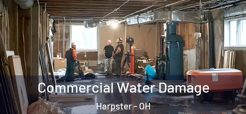 Commercial Water Damage Harpster - OH