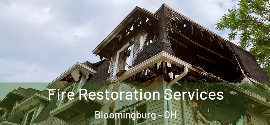 Fire Restoration Services Bloomingburg - OH