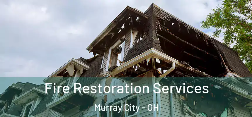 Fire Restoration Services Murray City - OH