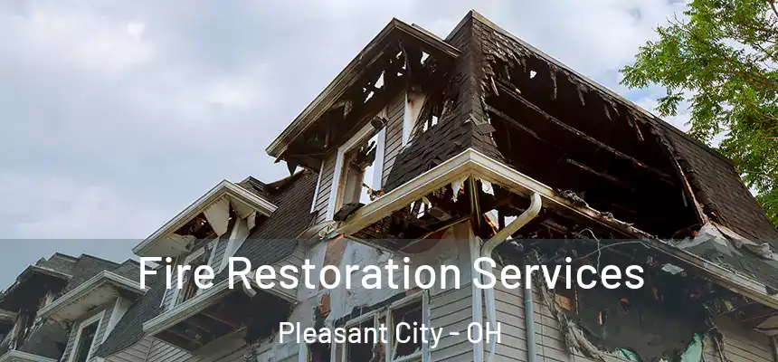 Fire Restoration Services Pleasant City - OH