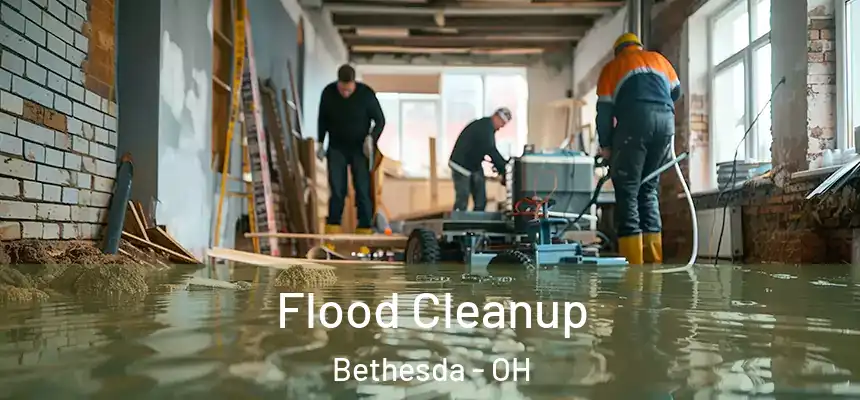 Flood Cleanup Bethesda - OH