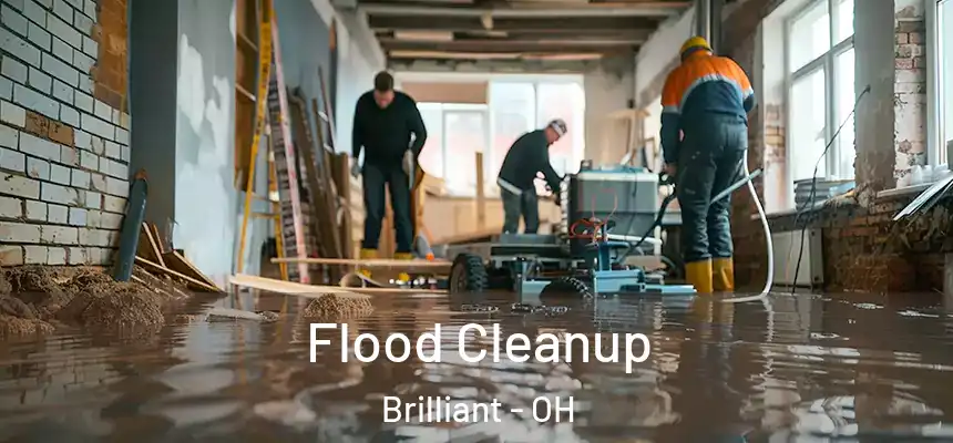  Flood Cleanup Brilliant - OH