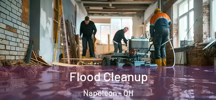 Flood Cleanup Napoleon - OH