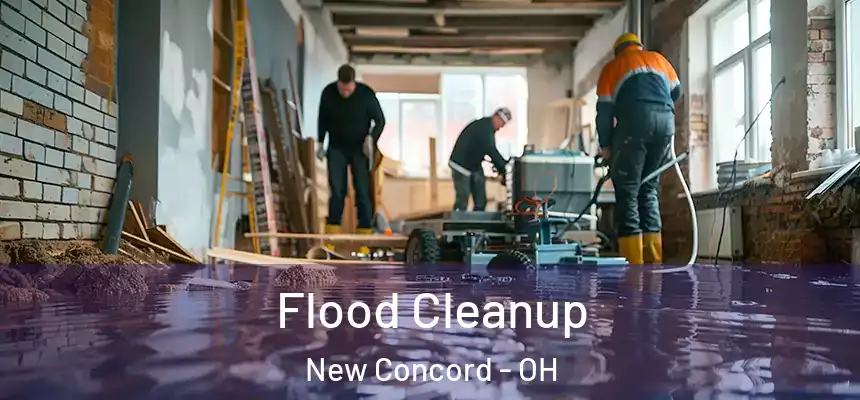 Flood Cleanup New Concord - OH