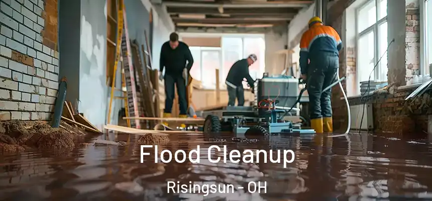 Flood Cleanup Risingsun - OH