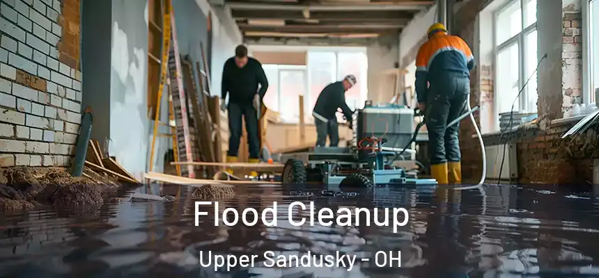 Flood Cleanup Upper Sandusky - OH