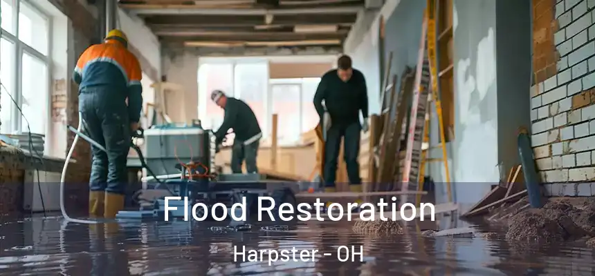 Flood Restoration Harpster - OH