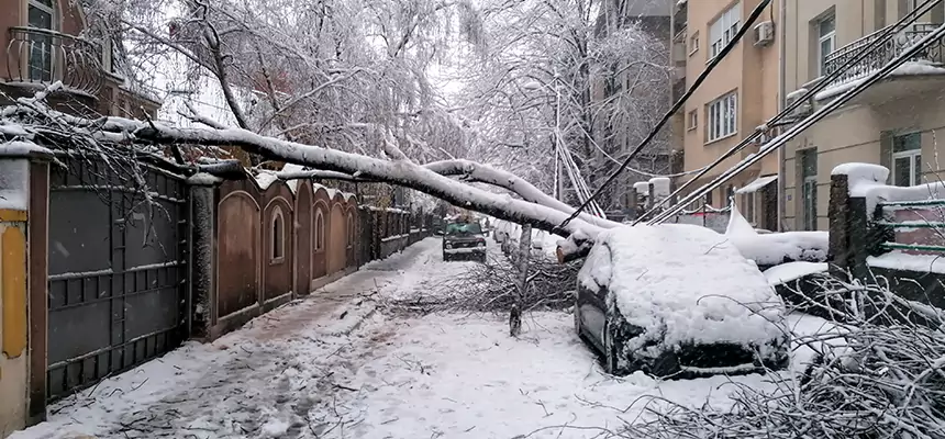 Winter Storm Damage Repair in Steubenville