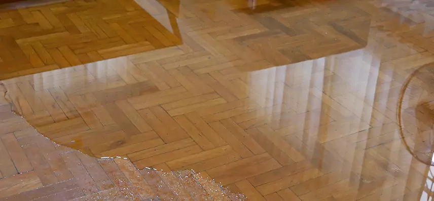 Laminate Wood Floor Water Damage Repair in Steubenville