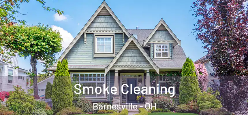  Smoke Cleaning Barnesville - OH