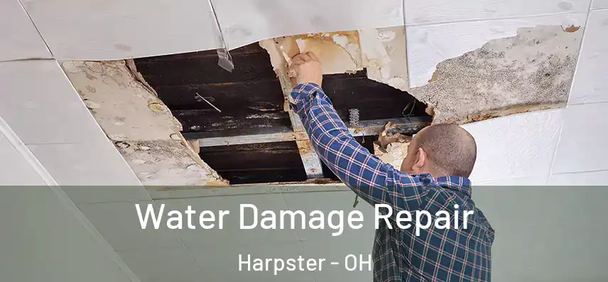 Water Damage Repair Harpster - OH